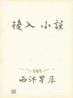 后入 小说