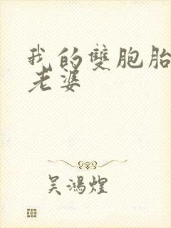 我的双胞胎美女老婆