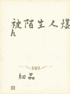 被陌生人爆c高h