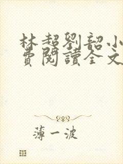 林超刘韶小说免费阅读全文最新章节