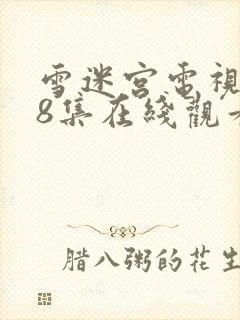 雪迷宫电视剧28集在线观看免费