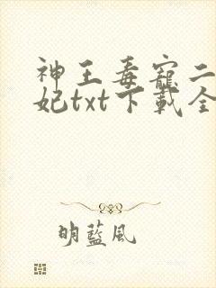神王毒宠二嫁王妃txt下载全本