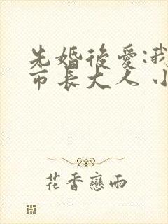 先婚后爱:我的市长大人 小说