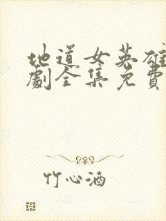 地道女英雄电视剧全集免费