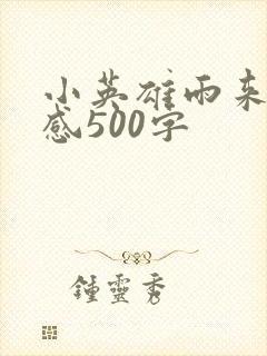 小英雄雨来读后感500字封面