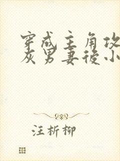 穿成主角攻的炮灰男妻后小说