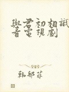 与君初相识免费看电视剧