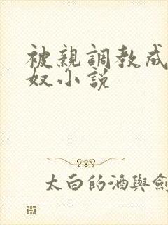 被亲调教成她的奴小说