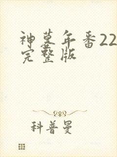 神墓年番22集完整版