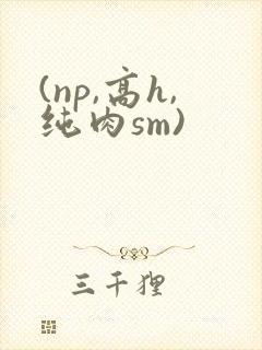 (np,高h,纯肉sm)