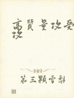 高质量攻受糙汉攻