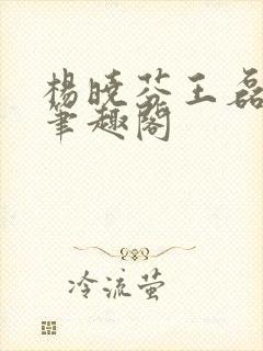 杨晓芬王磊小说笔趣阁