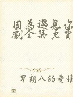 因为遇见你电视剧全集免费在线观看