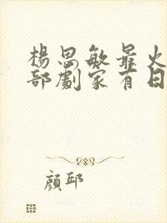 杨思敏最火的三部剧家有日本妻