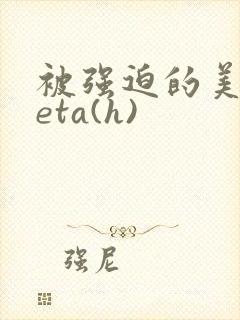 被强迫的美人beta(h)