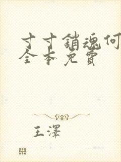 寸寸销魂何生祥全本免费封面