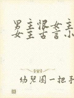 男主恨女主报复女主古言小说