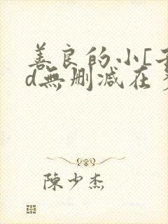 善良的小[子hd无删减在多少集封面