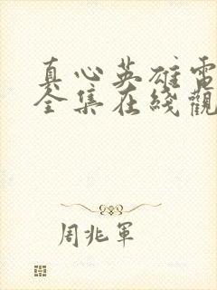 真心英雄电视剧全集在线观看女子监狱