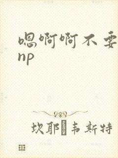嗯啊啊不要高hnp