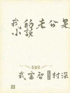 我的老公是鬼物小说封面