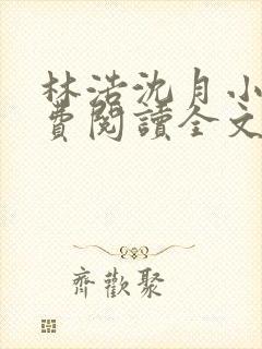 林浩沈月小说免费阅读全文