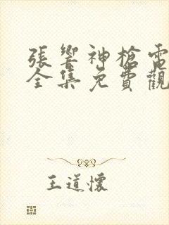 张响神枪电视剧全集免费观看封面