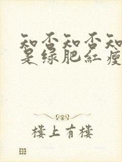 知否知否知否应是绿肥红瘦是哪朝的