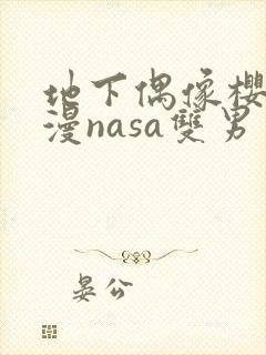 地下偶像樱花动漫nasa双男主