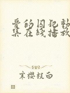 爱的囚犯动漫全集在线播放免费观看