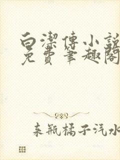 白洁传小说全文免费笔趣阁阅读高清