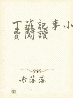 丁薇记事小说免费阅读