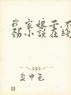 我家娘子,不对劲小说在线阅读