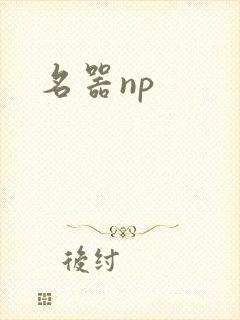 名器np封面