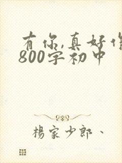 有你,真好作文800字初中