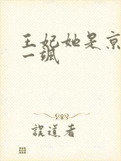 王妃她是京城第一飒封面