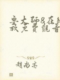 鲁大师8在线播放免费观看电视剧