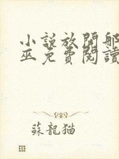 小说放开那个女巫免费阅读