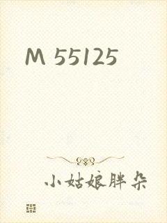 M 55125封面