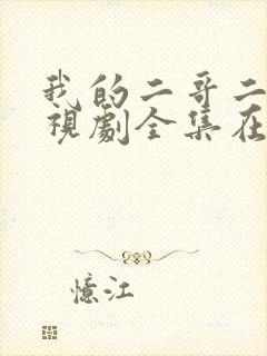 我的二哥二嫂电视剧全集在线观看