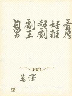 日剧超好看的双男主剧推荐