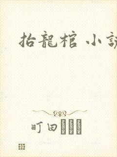 抬龙棺 小说封面