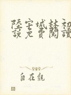 陆宇城林初韵小说免费阅读最新章节