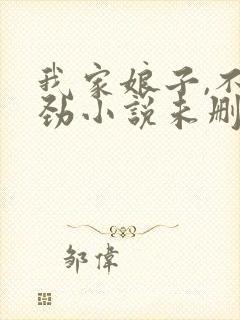 我家娘子,不对劲小说未删版完整