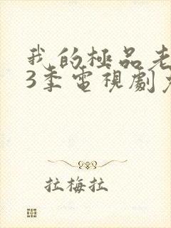 我的极品老婆第3季电视剧免费