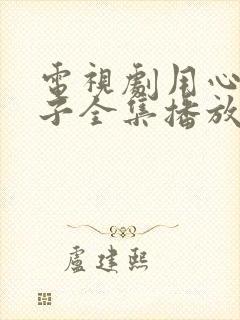 电视剧用心过日子全集播放免费观看封面