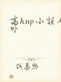 高hnp小说人外