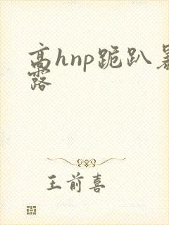 高hnp跪趴暴露