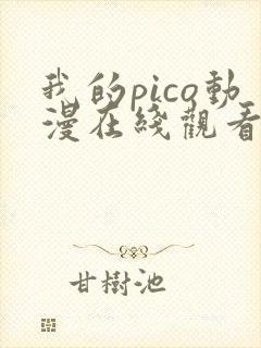 我的pico动漫在线观看完整版免费高清封面