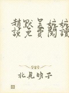 赵默吴婉婉的小说免费阅读无弹窗